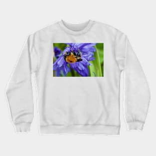 Bumbling along and hanging on Crewneck Sweatshirt